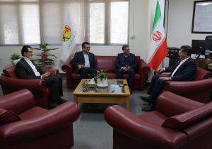 تعامل و هم افزایی مدیران در تامین و انتقال بهینه برق صنایع
