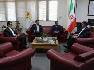 تعامل و هم افزایی مدیران در تامین و انتقال بهینه برق صنایع