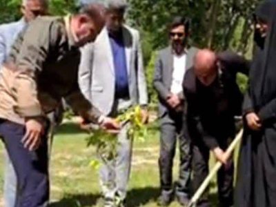 کاشت نهال نارنج به پاس روز ملی شوراها در فسا