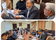 بررسی آخرین وضعیت پرداخت تسهیلات موضوع تبصره (18) در استان فارس