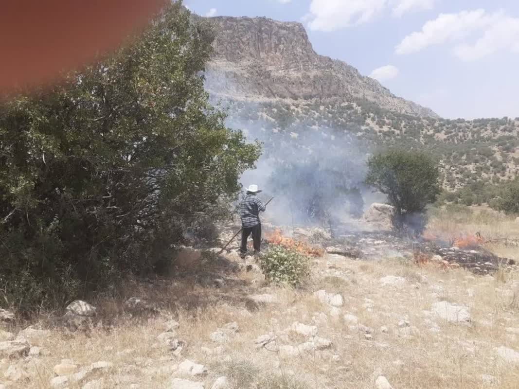 مهار آتش‌سوزی در منطقه حفاظت شده تنگ بستانک