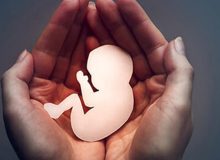 جلوگیری از ۴۰۵ سقط جنین در فارس توسط مرکز نفس