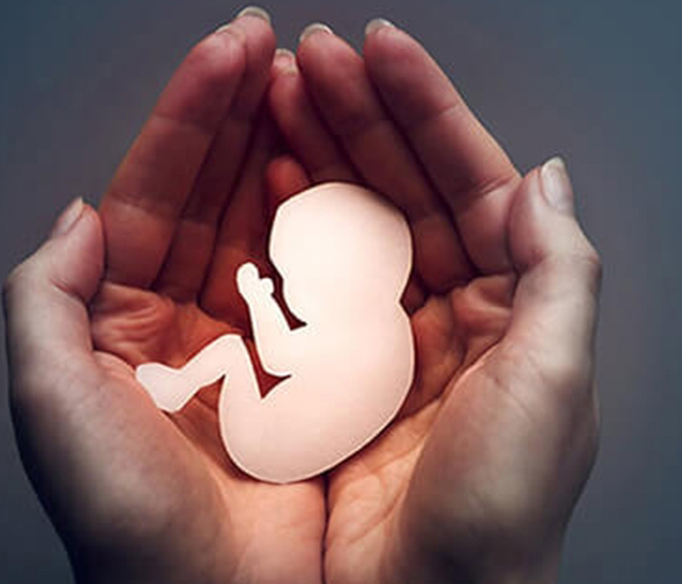 جلوگیری از ۴۰۵ سقط جنین در فارس توسط مرکز نفس