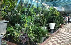 افتتاح بزرگ‌ترین پایانه گل و گیاه جنوب کشور در شیراز