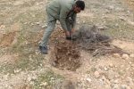 رفع تصرف و قلع و قمع نهال های تازه کاشته در  اراضی ملی  پناهگاه  حیات وحش بختگان در شهرستان استهبان