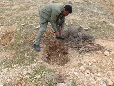 رفع تصرف و قلع و قمع نهال های تازه کاشته در  اراضی ملی  پناهگاه  حیات وحش بختگان در شهرستان استهبان