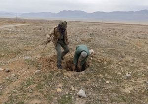 قلع‌ و قمع نهال‌های تازه کاشته انجیر در اراضی ملی بختگان