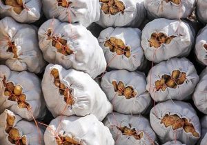 انبارهای احتکار ۹۷۶ میلیاردی سیبزمینی در شیراز لو رفت