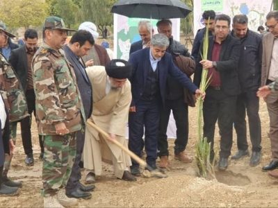 تولید ۶ میلیون و ۵۰۰ هزار اصله نهال در فارس