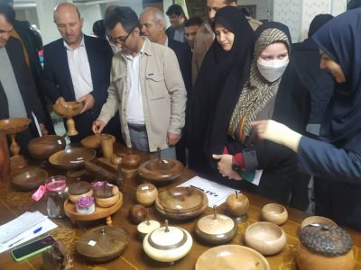 تاکید بر حمایت از کسب و کار بانوان توانمند و خلاق