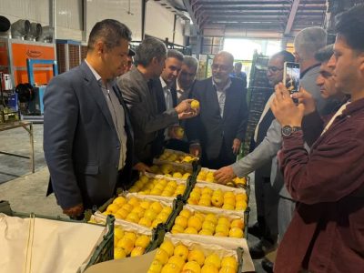 بازدید بازرس کل فارس از سردخانه‌های ذخیره‌سازی میوه شب عید در استان