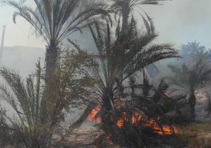 آتش‌سوزی در منطقه تفریحی تنگ خور اشکنان