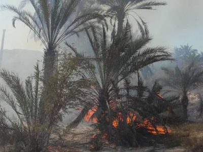 آتش‌سوزی در منطقه تفریحی تنگ خور اشکنان