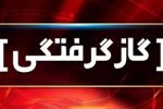 نجات جان پنج شهروند دچار مسمومیت با گاز منوکسید کربن در فارس