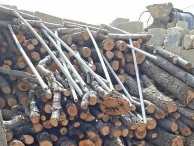 کشف و ضبط ۴۲۰۰ کیلوگرم هیزم جنگلی بلوط در شیراز