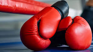 اقلید میزبان برگزاری اردوی تیم ملی بوکس دانش آموزی