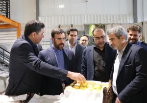 ذخایر میوه شب عید کافی است