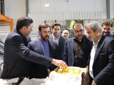 ذخایر میوه شب عید کافی است