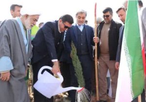 رئیس جهاد کشاورزی فارس خواستار مشارکت مردم در حفاظت از محیط زیست شد
