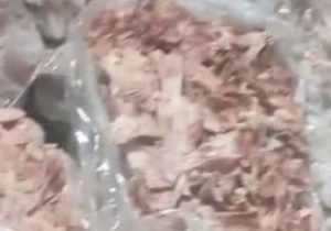 کشف بیش از ۱۰ تن اسکلت مرغ و گوشت غیر بهداشتی در یک گاوداری متروکه در کازرون