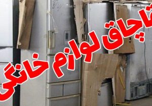 کشف ۲ میلیارد ریال کالای قاچاق در مهر