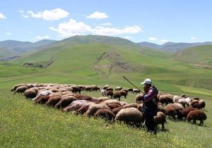 کوچ بهاره عشایر فارس به مناطق ییلاقی