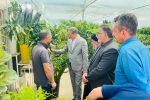 بازدید معاون امور باغبانی وزیر جهاد کشاورزی از بازارچه گل و گیاه پردیس شهر شیراز