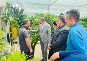 بازدید معاون امور باغبانی وزیر جهاد کشاورزی از بازارچه گل و گیاه پردیس شهر شیراز