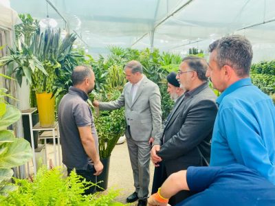 بازدید معاون امور باغبانی وزیر جهاد کشاورزی از بازارچه گل و گیاه پردیس شهر شیراز