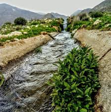 اماکن تفریحی بیضا در روز طبیعت میزبان گردشگران