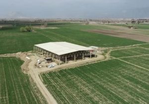 ساماندهی مسیر دسترسی به محوطه تل آجری