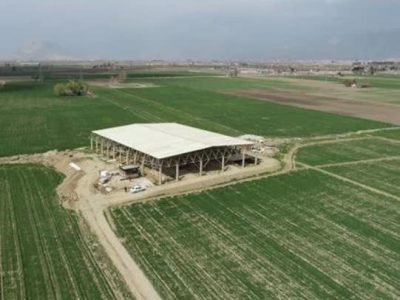 ساماندهی مسیر دسترسی به محوطه تل آجری