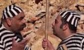 ته چین طنز شیرازی در قاب شبکه نسیم