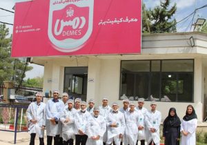 بازدید سفیران استاندارد از واحد تولیدی دمس با هدف آشنایی با استاندارد و کنترل کیفیت محصولات