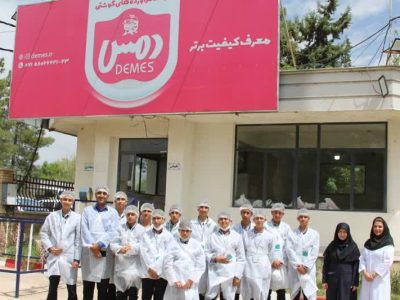 بازدید سفیران استاندارد از واحد تولیدی دمس با هدف آشنایی با استاندارد و کنترل کیفیت محصولات