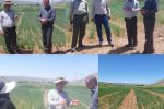 بازدید از پایگاه نوآوری اقلیم گرم به منظور طرح جهش تولید در دیمزارهای ممسنی