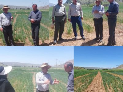 بازدید از پایگاه نوآوری اقلیم گرم به منظور طرح جهش تولید در دیمزارهای ممسنی