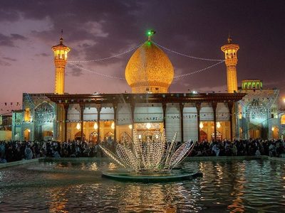 حرم مطهر امین ولایت ، سوگوار دردانه برادر