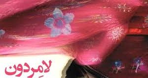 برگزاری جشنواره فرهنگی لامردون در لامرد