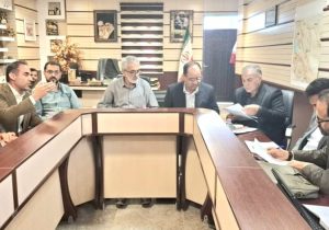 بررسی مشکلات تامین برق شهرک صنعتی سنگ نی‌ریز