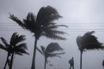 وزش باد در بیشتر مناطق فارس