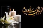 پیام تسلیت امام جمعه شیراز در پی شهادت سردار غیب پرور