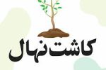 پویش نهالکاری در بیمارستان خلیلی شیراز به مناسبت روز پرستار
