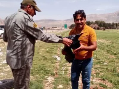 بازدید بیش از ۵ گردشگر از مناطق تحت مدیریت شهرستان شیراز