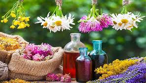 بنیاد برکت برای بهینه‌سازی زنجیره ارزش گیاهان دارویی فارس