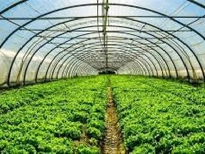 گلخانه تابع اقلیم محیط کنترل شده ای که بهره وری بالای آب