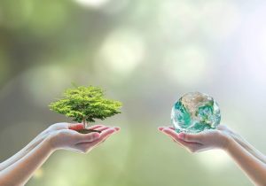 حفاظت از محیط زیست مسئولیتی انسانی و فرهنگی است