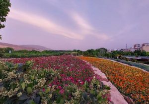 اجرای مرحله دوم باغ گل‌ها در آباده
