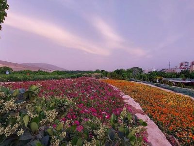 اجرای مرحله دوم باغ گل‌ها در آباده