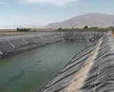 احیای باغ‌ها و دامداری در روستاهای فارس با همت یک مهندس جوان